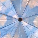 Зонт женский Три Слона 880 14706 Живописный уголок Италии