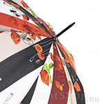Зонт трость женский Airton 1626 8733 Поющие маки