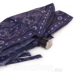 Зонт женский Ame Yoke M53-5S 11810 Цветочный вальс пейсли (в футляре)