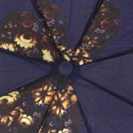Зонт женский DripDrop 945 (14552) Живопись