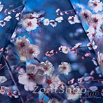 Зонт женский Zest 24755 (73) Сакура голубая
