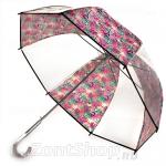 Зонт трость женский прозрачный Ame Yoke L-60 (В) 10030 Париж