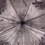 Зонт женский Три Слона L3880 10891 Париж (сатин)