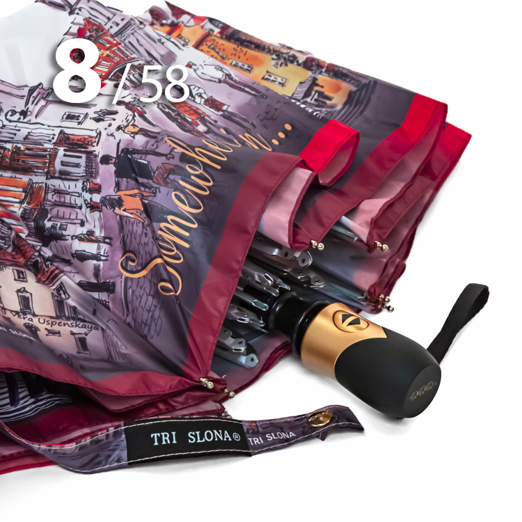 Зонт Три Слона L-3833 (C) 18116 Варшава