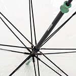 Зонт трость женский прозрачный Fulton Morris & Co L782 2980 Оливка (Дизайнерский)