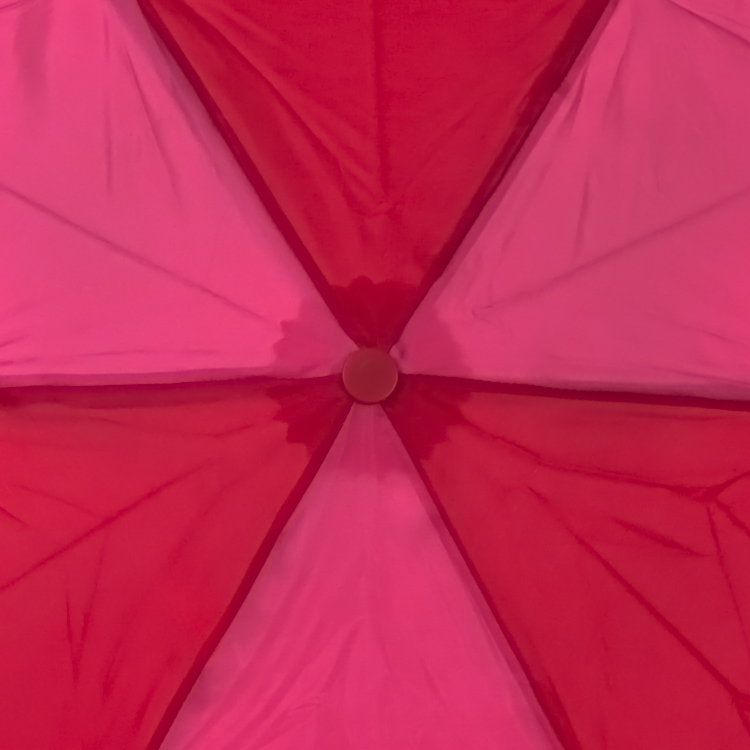 Зонт женский Fulton Lulu Guinness L718 2548 Кубик (Дизайнерский)