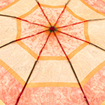 Зонт женский Zest 25525 7735 Яркие цветочные узоры