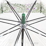 Зонт трость женский прозрачный Fulton Morris & Co L782 2980 Оливка (Дизайнерский)