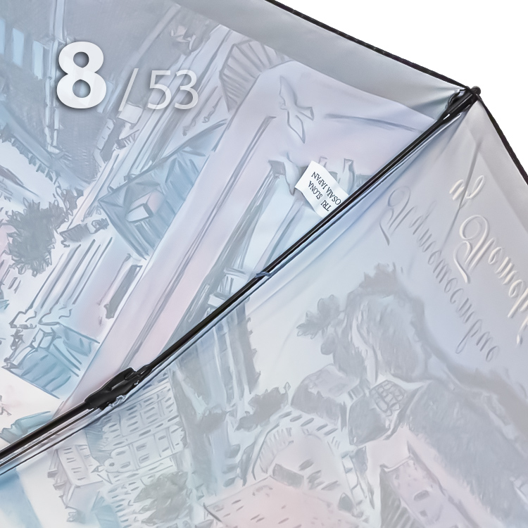 Зонт Три Слона L-4833 (А) 18279 Путешествие из Петербурга в Выборг