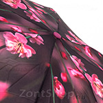 Зонт женский Zest 24755 (8063) Цветущая вишня