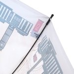 Зонт трость Fulton L848 3415 (National Gallery Skyline), прозрачный