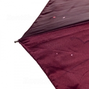Зонт женский Amico 1174 16300 Ветви Бордовый (сатин)