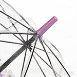 Зонт трость женский прозрачный Fulton L042 3043 Орхидея