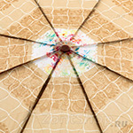Зонт женский Zest 23955 7634 Цветочная композиция