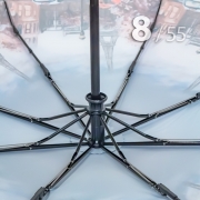 Зонт Три Слона L-3887 (E) 18836 Париж