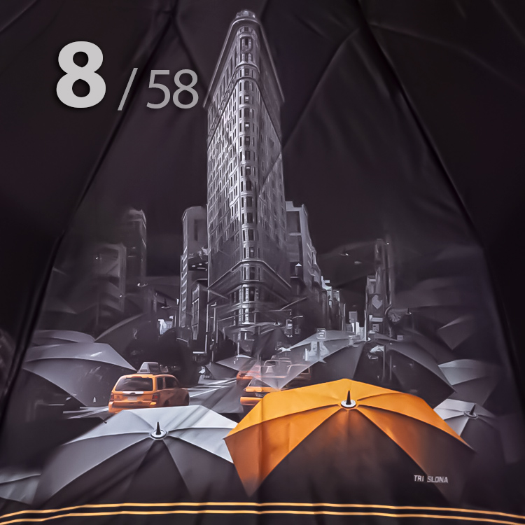 Зонт Три Слона L-3835 (V) 18381 Нью-Йорк (сатин)