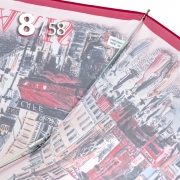 Зонт Три Слона L-3833 (C) 18118 Париж