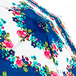 Зонт женский Fulton L553 2507 Розы полоса