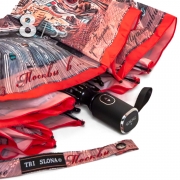 Зонт Три Слона L-4833 (А) 18277 Путешествие из Москвы в Казань