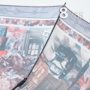 Зонт Три Слона L-3887 (E) 18836 Париж