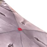 Мини зонт облегченный LAMBERTI 75336 (13694) Париж Розы