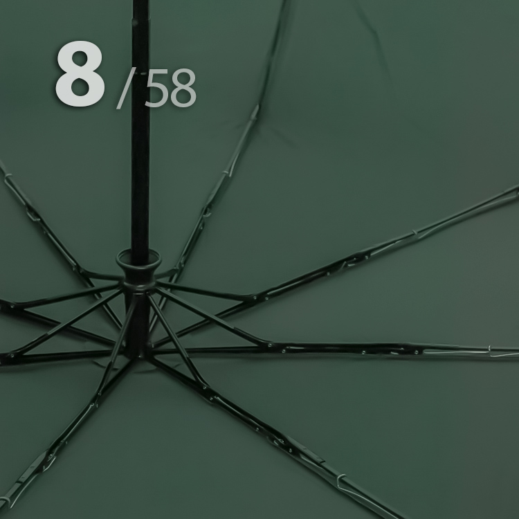 Зонт Три Слона L-3898 (C) 18372 Цветы Графика Зеленый