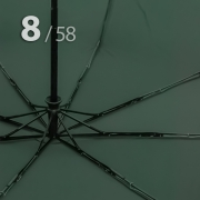 Зонт Три Слона L-3898 (C) 18372 Цветы Графика Зеленый