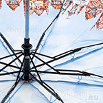 Зонт женский Airton 3635 8017 Старый город