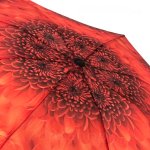 Зонт женский Monsoon M8019 15721 Оранжевые Хризантемы