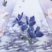 Зонт женский MAGIC RAIN 51232 (15912) Изящное очарование