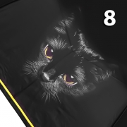 Зонт Три Слона L-3870 (A) 18819 Кошка желтая кайма