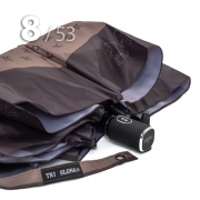 Зонт Три Слона L-4808 (A) TC 18123 Золото, компактный