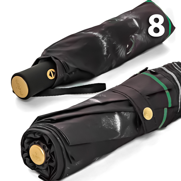 Зонт Три Слона L-3870 (A) 18822 Кошка зеленая кайма