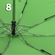 Зонт Три Слона L-4806 (J) 18816 Цветы Зеленый, компактный