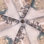 Зонт женский Trust 33377 (14986) Отражение
