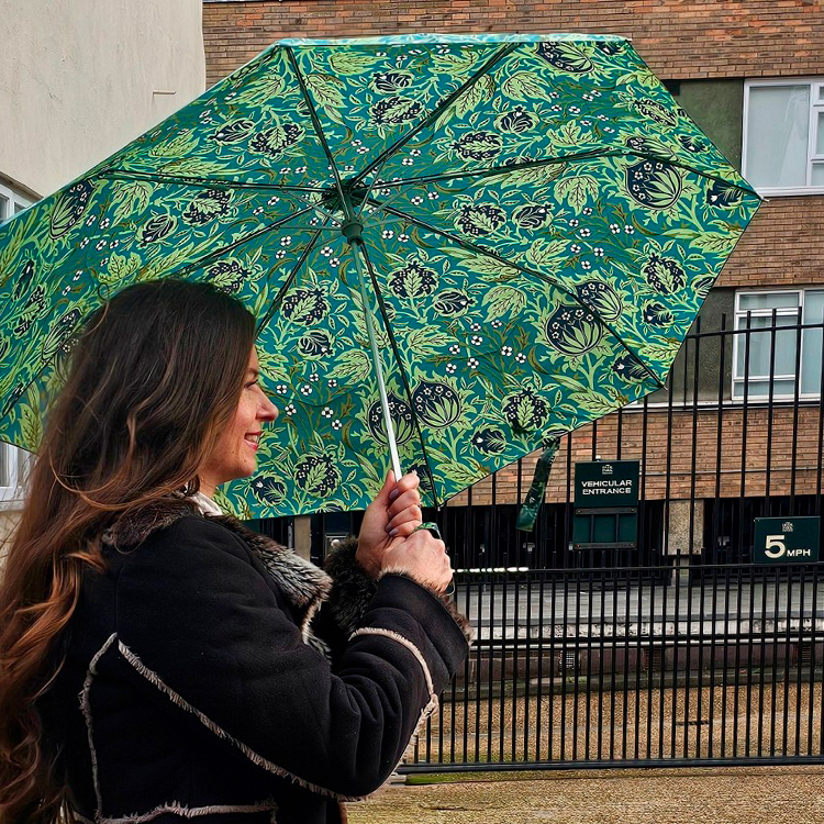 Зонт Fulton Morris & Co L907 4447 Элмкот UPF50+ (Дизайнерский)