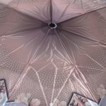 Зонт женский Три Слона L3763 15428 Живописная Италия (сатин)