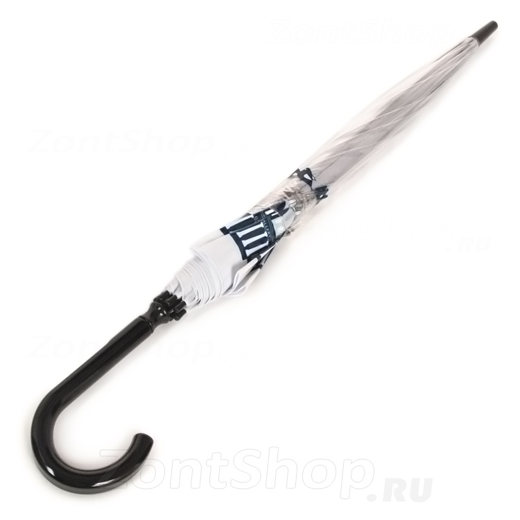 Зонт трость Fulton L848 3415 (National Gallery Skyline), прозрачный