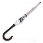 Зонт трость Fulton L848 3415 (National Gallery Skyline), прозрачный