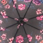 Зонт женский DripDrop 915 14643 Душистое утро