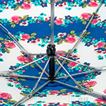 Зонт женский Fulton L553 2507 Розы полоса