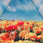 Зонт женский Ame Yoke OK54 9874 Цветочное поле