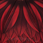 Зонт женский Три Слона 115 (E) 10313 Красно-черный (Цветочная Серия)