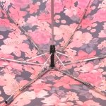 Зонт женский Fulton L553 3960 Цветок вивьен