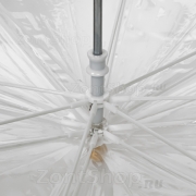 Зонт детский прозрачный ArtRain 21503 (16735) Лео и Тиг