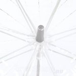 Зонт трость женский прозрачный Fulton Lulu Guinness L719 3452 Неразлучники (Дизайнерский)