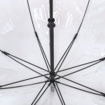 Зонт трость Fulton L848 3415 (National Gallery Skyline), прозрачный