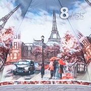 Зонт Три Слона L-3887 (E) 18836 Париж