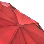 Зонт женский DripDrop 998 (14557) Дыхание природы красный (сатин)