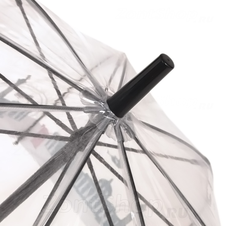 Зонт трость Fulton L848 3415 (National Gallery Skyline), прозрачный